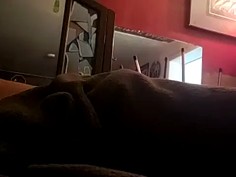 JRock69nKzoo online show from 11/12/25, 11:54