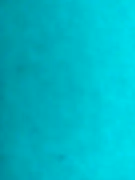 JRock69nKzoo online show from 02/21/26, 12:28