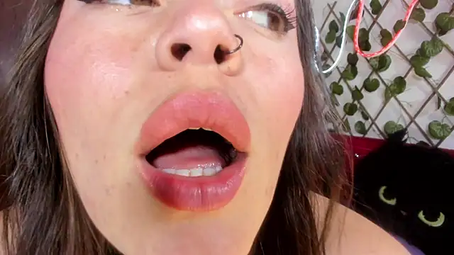  kalypso  online show from 02/22/26, 05:44