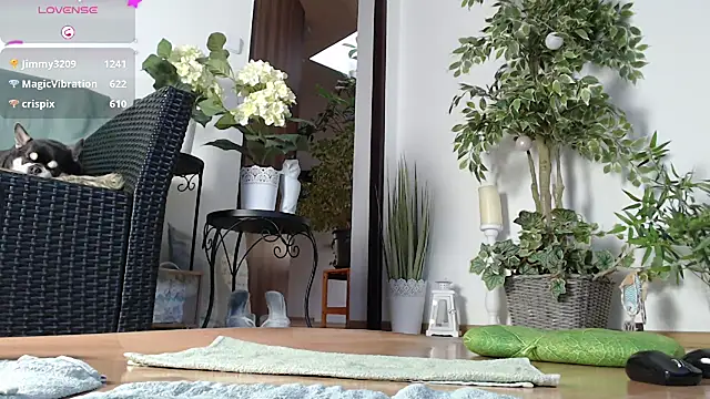 Squirtmania online show from 01/01/25, 07:20