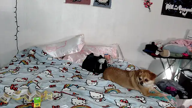 Cupcakecutie449 online show from 03/05/26, 07:43