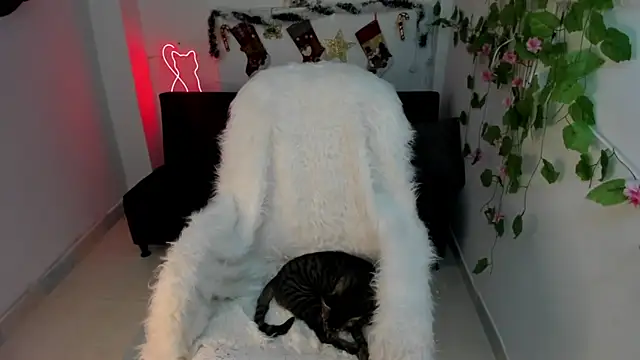 Nanami 19 online show from 12/15/24, 07:21