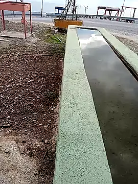 parabellumm online show from 10/03/25, 12:46