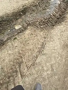 parabellumm online show from 04/17/26, 01:58