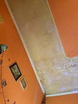 ducicsajsziii online show from 01/10/25, 07:25