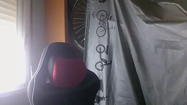 porkorossy online show from 05/28/26, 07:16