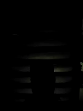 ZIMMY25 online show from 03/31/26, 07:36