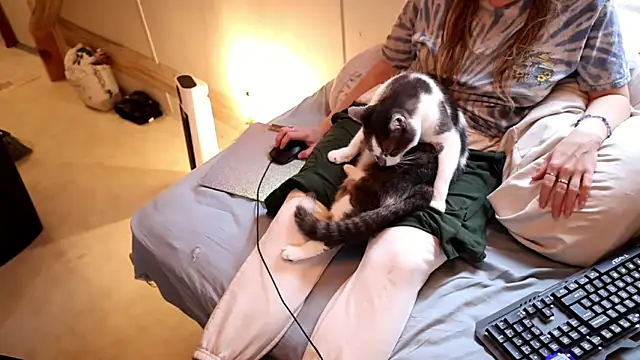 xxpixeyxx online show from 11/29/25, 04:10