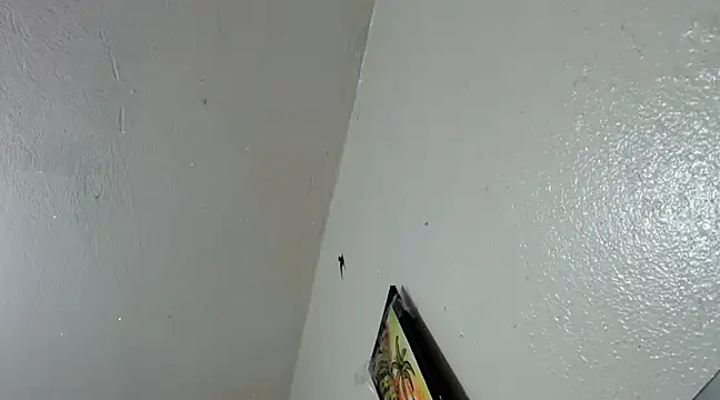 katery wok11 online show from 03/21/25, 07:33