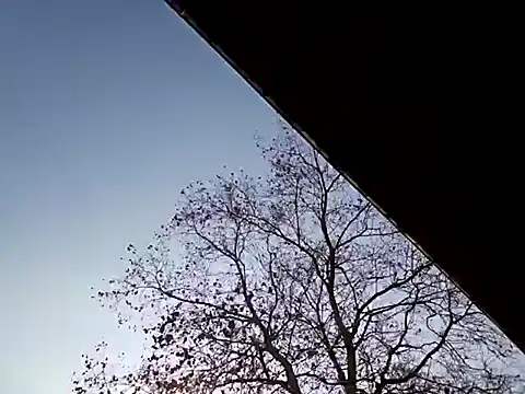 Mia Railey online show from 03/07/25, 03:49