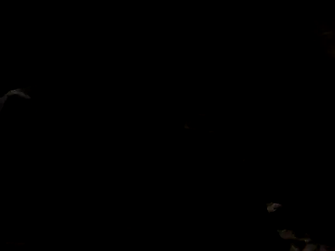 Nawtyslaveteen online show from 11/24/25, 08:30