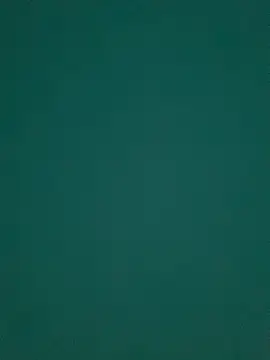 Ruby bear online show from 03/08/25, 08:55