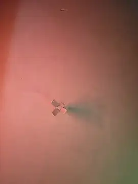 Ricorryxh online show from 09/09/25, 05:07