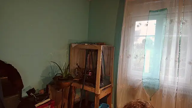 Prxscillia Tx online show from 12/13/24, 08:20