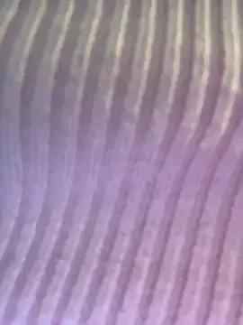 Isabellafantazy online show from 12/16/25, 04:01