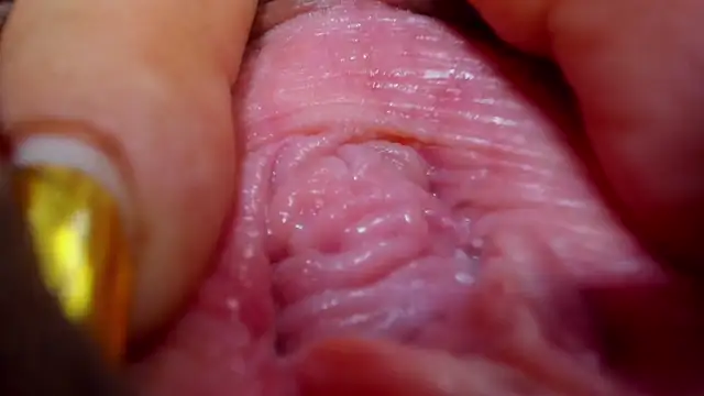 tatiana big ass boobs online show from 02/26/25, 12:38