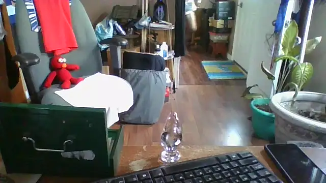 Daremeknot online show from 12/30/24, 07:00