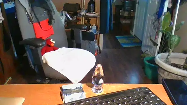 Daremeknot online show from 12/31/24, 02:25