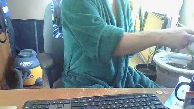 Daremeknot online show from 02/01/25, 03:18