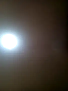 TrainedFinder5 online show from 11/11/25, 11:49