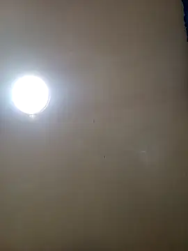 TrainedFinder5 online show from 11/14/25, 11:24