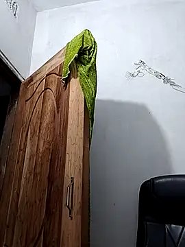 Snapshot of Ritusri_Dotta chatting on 02/27/25, 10:20 Ritusri Dotta online show from 02/27/25, 10:20