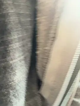 Followthepiper online show from 03/20/25, 07:35