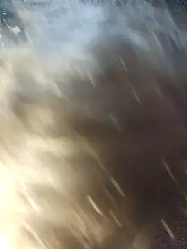 shadow199393 online show from 12/21/24, 11:02