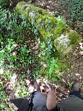 Rico-chow online show from 05/12/26, 11:29