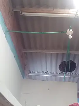 mailo bronw online show from 03/30/26, 03:13