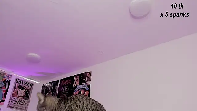 Snapshot of Sachi_Meow chatting on 10/26/25, 12:00 Sachi Meow online show from 10/26/25, 12:00