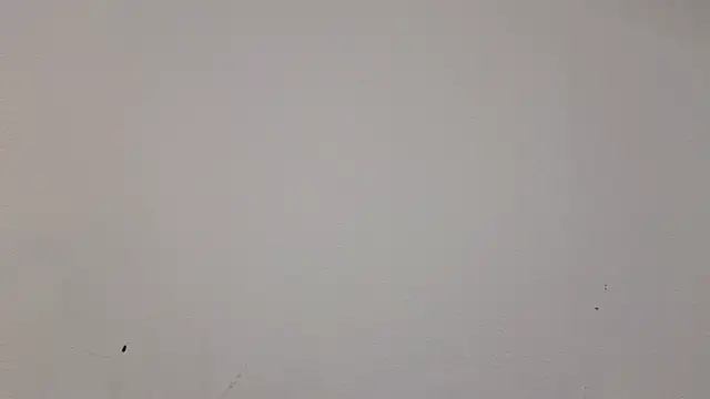   Nina online show from 02/19/25, 01:06