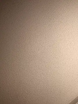 Treemandude online show from 09/13/25, 06:02