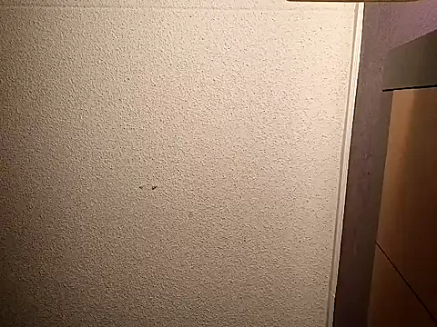 Treemandude online show from 10/10/25, 09:19