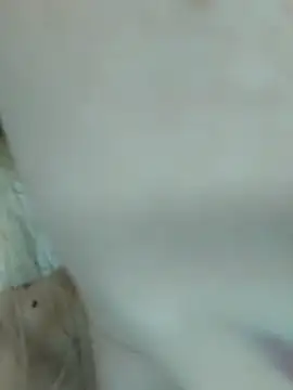 Elza kom online show from 03/01/25, 07:51