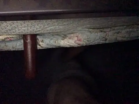 Nodsride online show from 07/12/26, 04:25