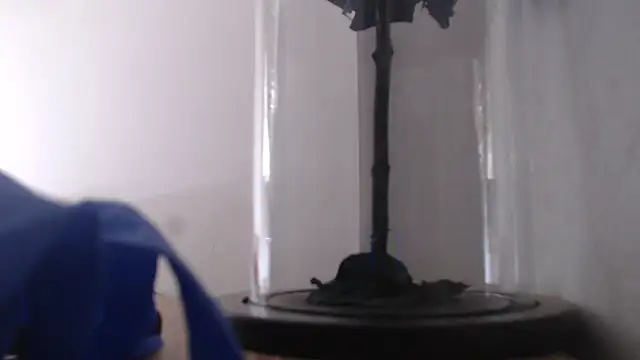 Janna099 online show from 09/21/25, 05:58