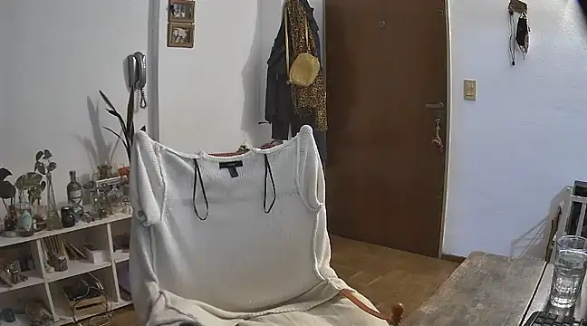 stupid babybird online show from 12/21/24, 04:52