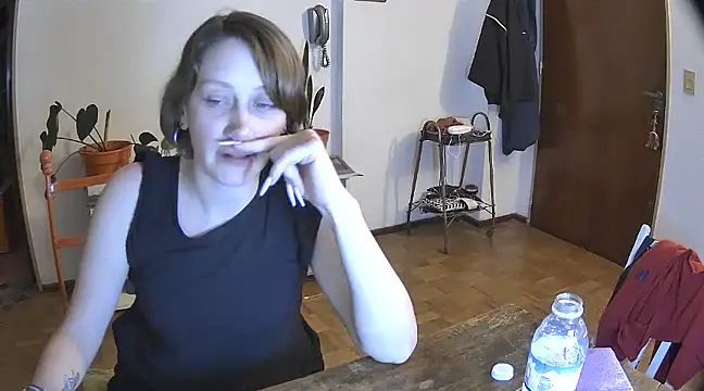 stupid babybird online show from 12/29/24, 05:10