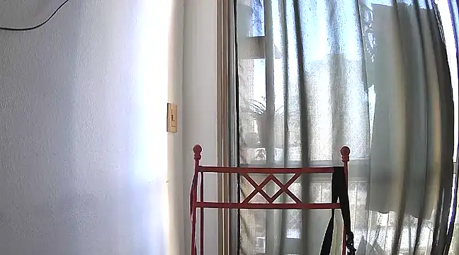 stupid babybird online show from 01/15/25, 09:20