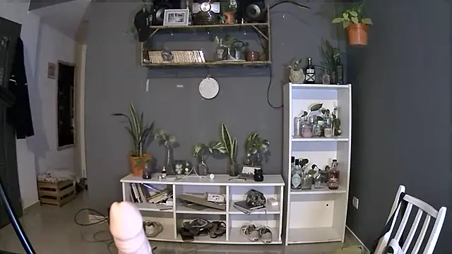 stupid babybird online show from 03/04/25, 01:23