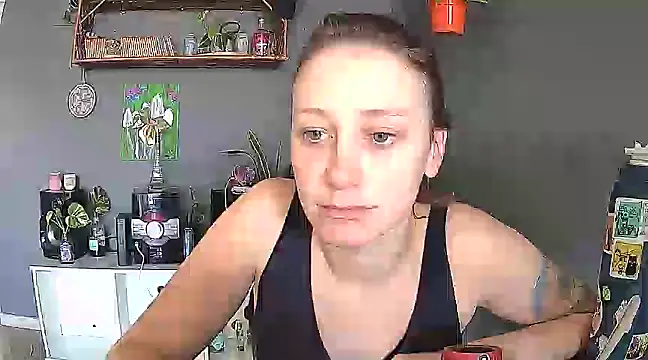 stupid babybird online show from 03/20/25, 05:36