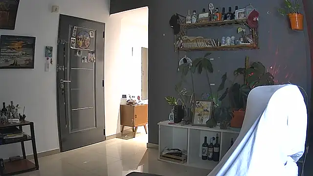 stupid babybird online show from 04/05/26, 11:13