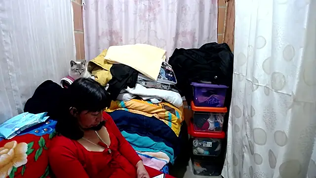 Snapshot of Malaya88 chatting on 02/13/25, 03:50 Malaya88 online show from 02/13/25, 03:50