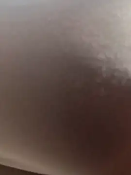 scarlett moore online show from 02/20/26, 03:34