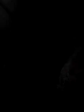 Snapshot of mia69x chatting on 12/04/25, 02:37 mia69x online show from 12/04/25, 02:37