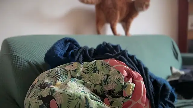 Brianjonest online show from 03/22/26, 04:21