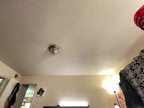 4EVAGLACIERS online show from 01/19/25, 08:18