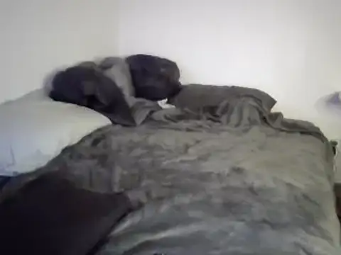 Iliketocooksquirt25 online show from 03/03/25, 08:05