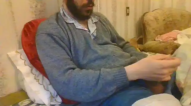 tozebrito hd online show from 12/31/24, 05:11